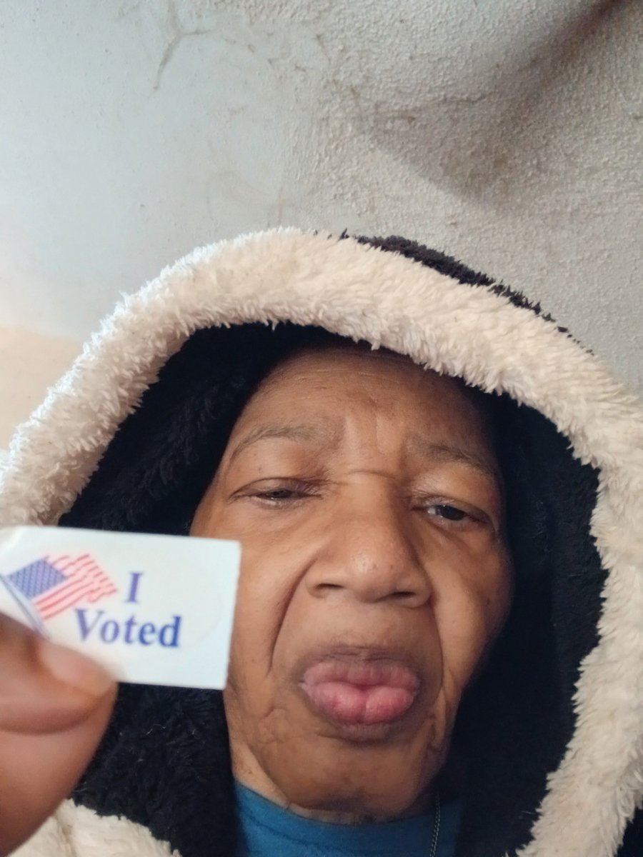 dolphindazeee's tweet photo. The dolphin household fully voted this morning (I’m just now posting this because I’m a very eepy girl) #VotinDay g https://t.co/XVjhb0bnbc