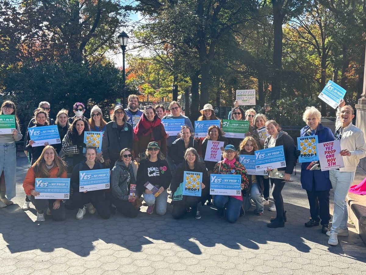 Vote YES on Prop 1: the Equal Rights Amendment. NY's constitution only protects against racial &amp; religious discrimination. The ERA would prohibit discrimination by the govt based on ethnicity, national origin, age, disability, gender identity &amp; expression &amp; sexual orientation. 8/