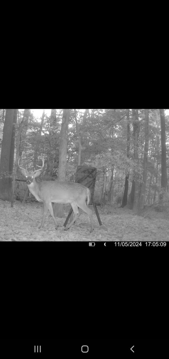 I should have been there