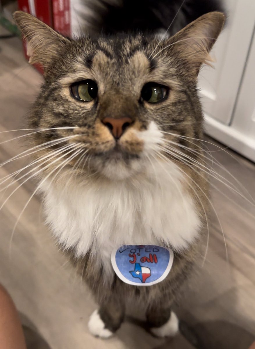 Softwilly's tweet image. RT + Like for a chance to win a Bento Plush!! :3

🎉3 winners will be chosen Nov 8th!!🎉