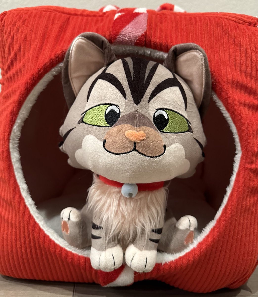 Softwilly's tweet image. RT + Like for a chance to win a Bento Plush!! :3

🎉3 winners will be chosen Nov 8th!!🎉