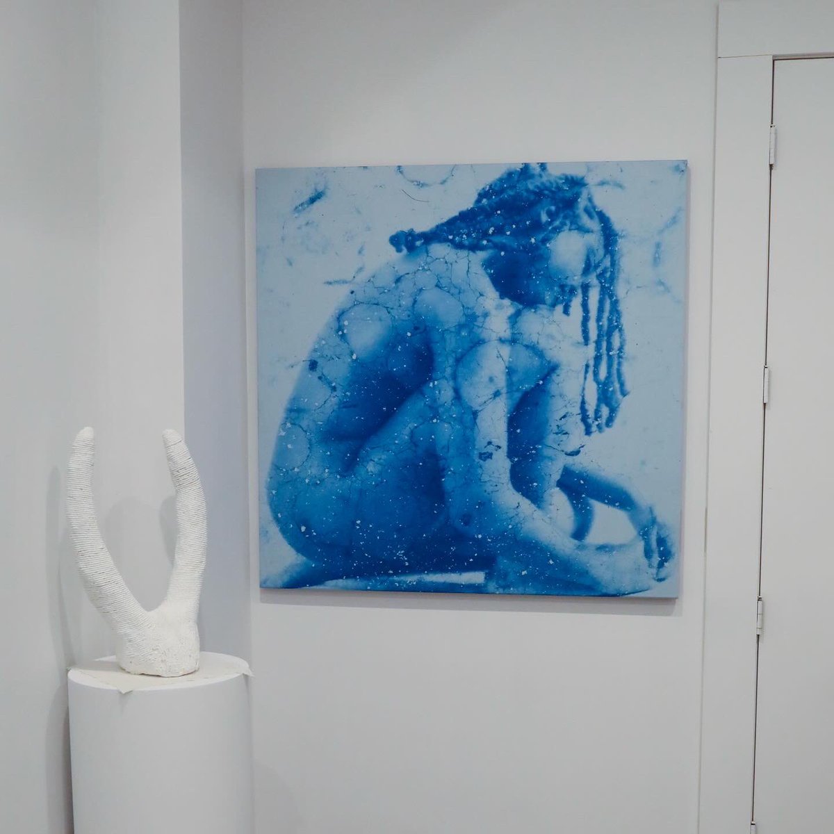 dianasinclair's tweet image. 