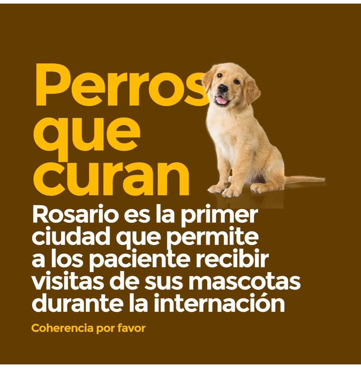 Nikgaturro's tweet image. 🐶🐶🐶🐶🐶🐶🐶🐶🐶🐶🐶🐶🐶🐶🐶🐶🐶🐶🐶🐶🐶🐶🐶❤️❤️❤️❤️❤️❤️❤️❤️❤️❤️❤️❤️❤️❤️❤️❤️❤️❤️❤️❤️❤️❤️❤️❤️❤️❤️❤️ @CoherenciaFavor @JMilei