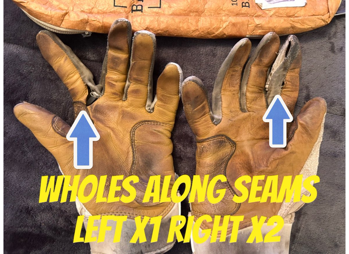 Meghan Foster-Lordi tweet media