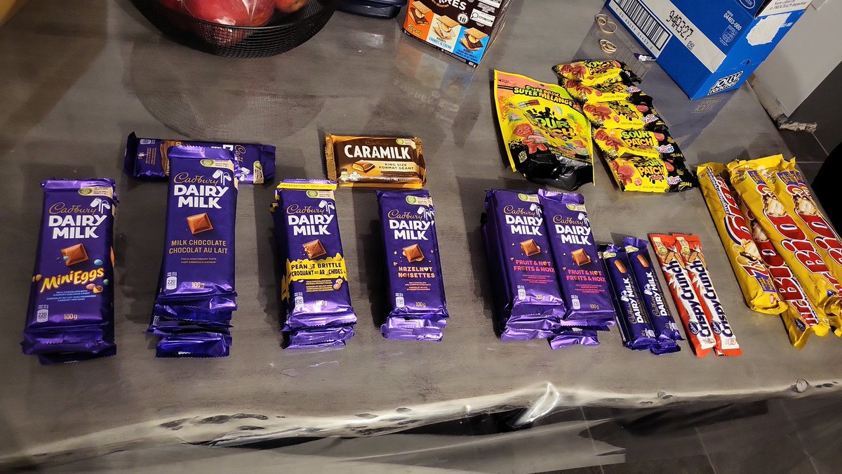 ✨️ SpecterTheHusky ✨️ tweet media