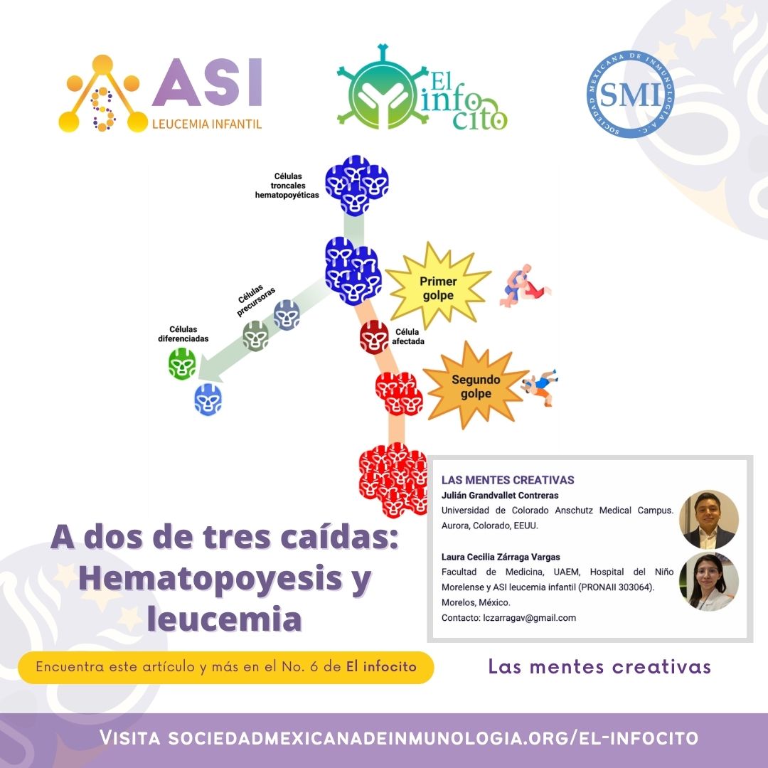 La leucemia es una lucha desgastante🤕 que requiere resiliencia desde el comienzo para que quienes la padecen se defiendan como verdaderos luchadores🥊🤼‍♂️.

Visita ➡️ sociedadmexicanadeinmunologia.org/revista-edicio… para leer el artículo completo.

#LeucemiaInfantil #Esperanza #SMI #ASI #ASILeucemia