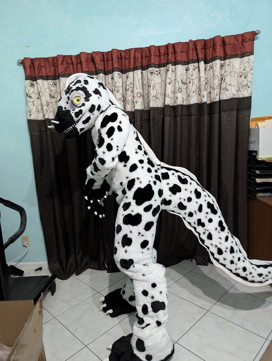 Box Eel, real. The one everyone knows me for and for what I am like.

Thank you so much, now I just have to take good care of the Eel including to other places.