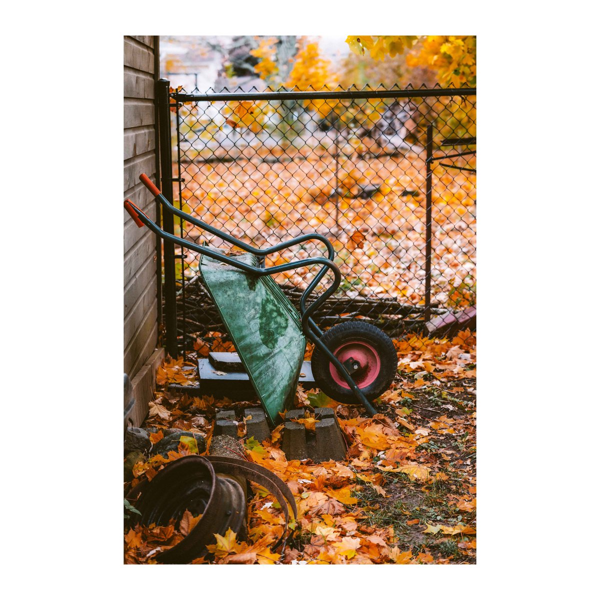RealSPACEJUMP's tweet photo. fleeting colours #photography #fallcolors #a6400 #SonyAlpha https://t.co/igb3BP4smD