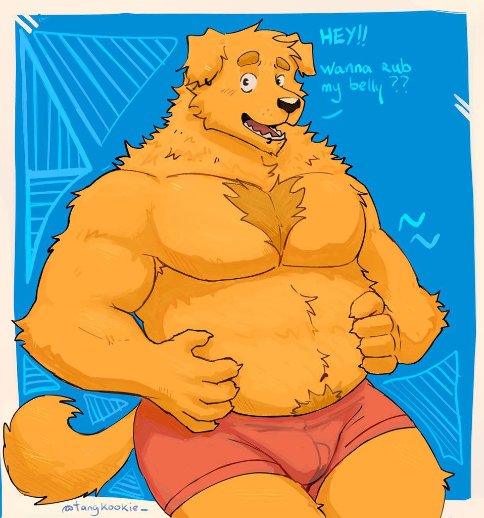 Azulkookz's tweet photo. A golden dog https://t.co/uuNW41sJbV