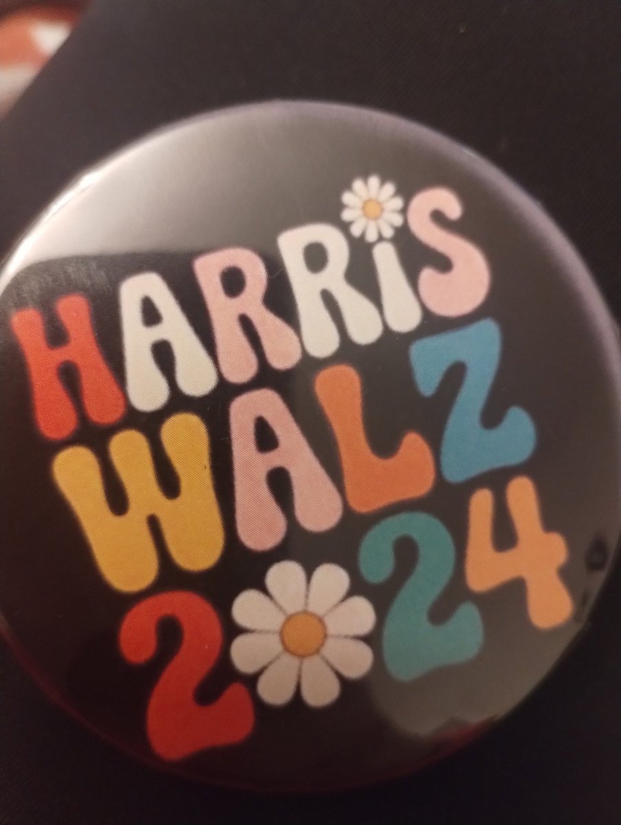 JSmallChanges's tweet photo. @MaryLTrump Voted in Maine #Kamala4President https://t.co/EmYUWupUaL