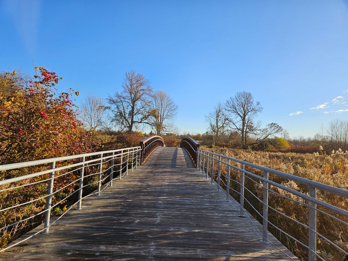 Carey-Ann Oestreicher tweet media