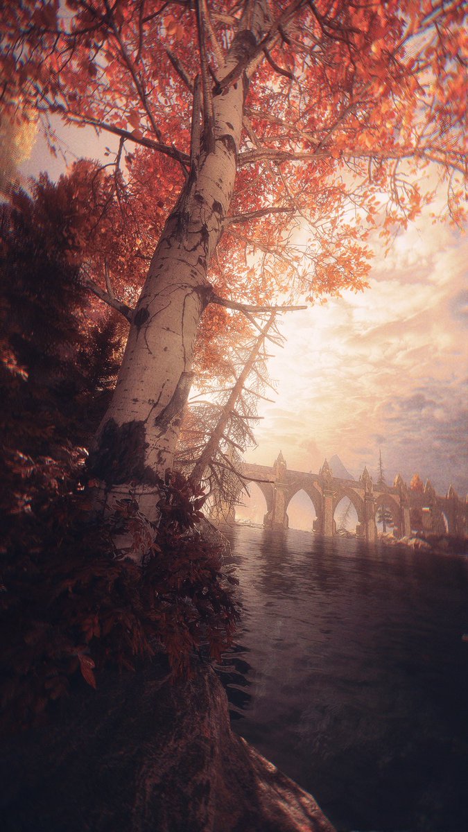eorzeanscholar's tweet photo. — Arlathan Forest.

#dragonage | #veilguard | #datv https://t.co/69CYvkVfsV