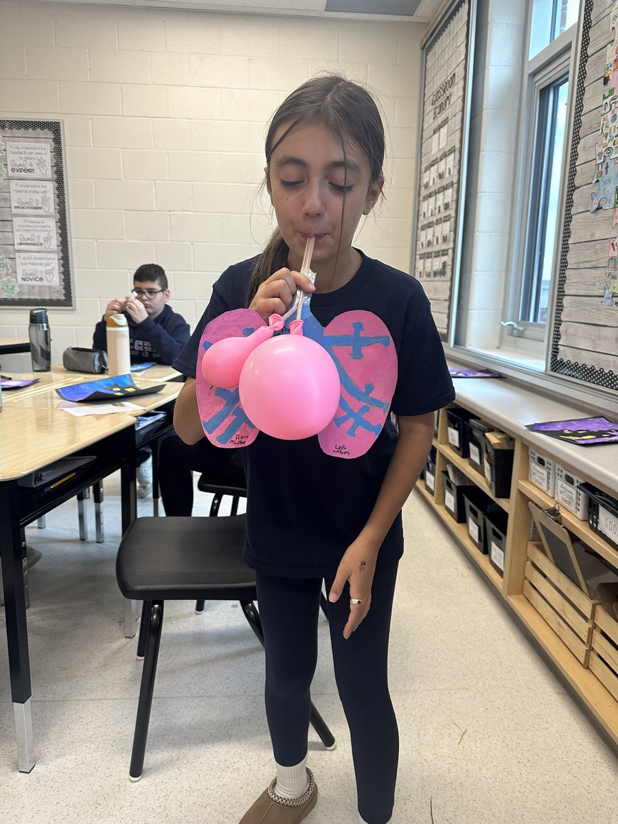 Learning about our Respiratory Systems with model lungs 🫁 <a href="/StCeciliaHCDSB/">StCeciliaHCDSB</a>