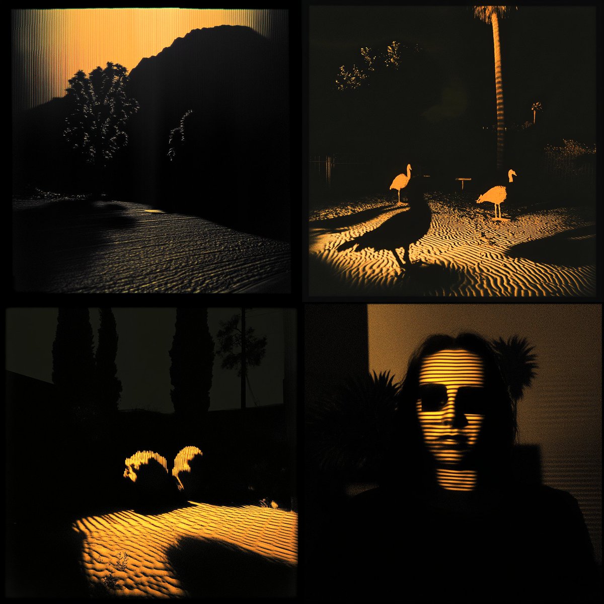 510 banner