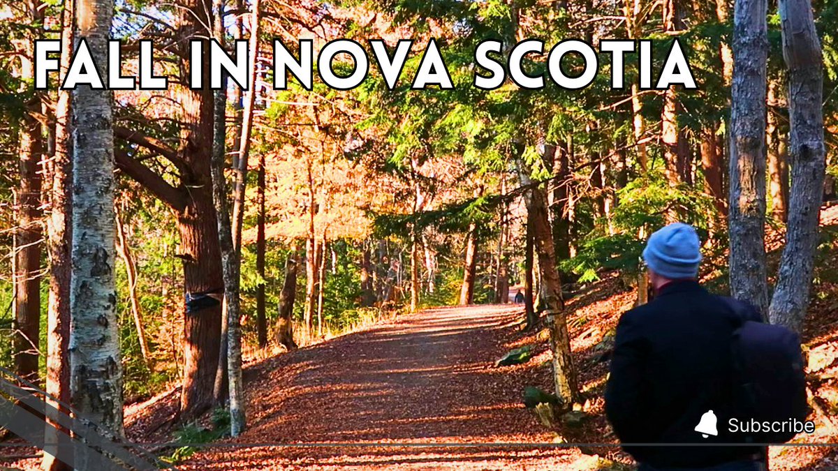 My Halifax | Vlogs about all things Halifax tweet media
