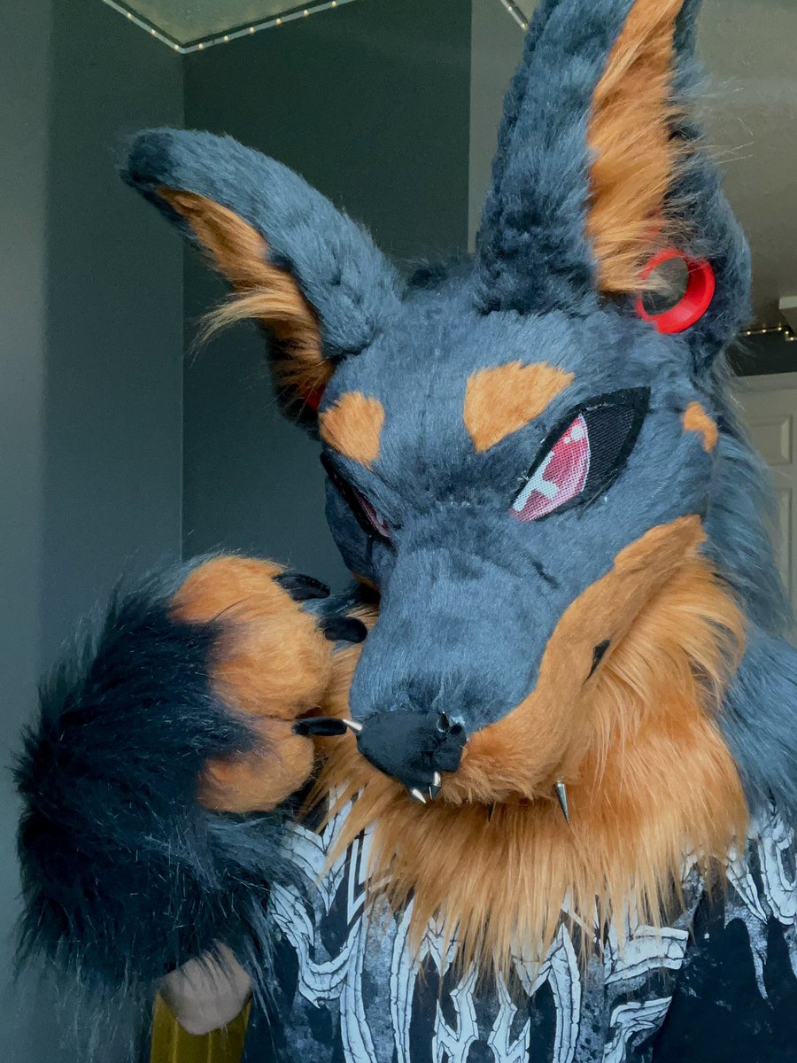 dobieteeth's tweet photo. made my first fursuit incredibly impulsively in the span of just under 3 weeks :3 https://t.co/9RpOfuq69z