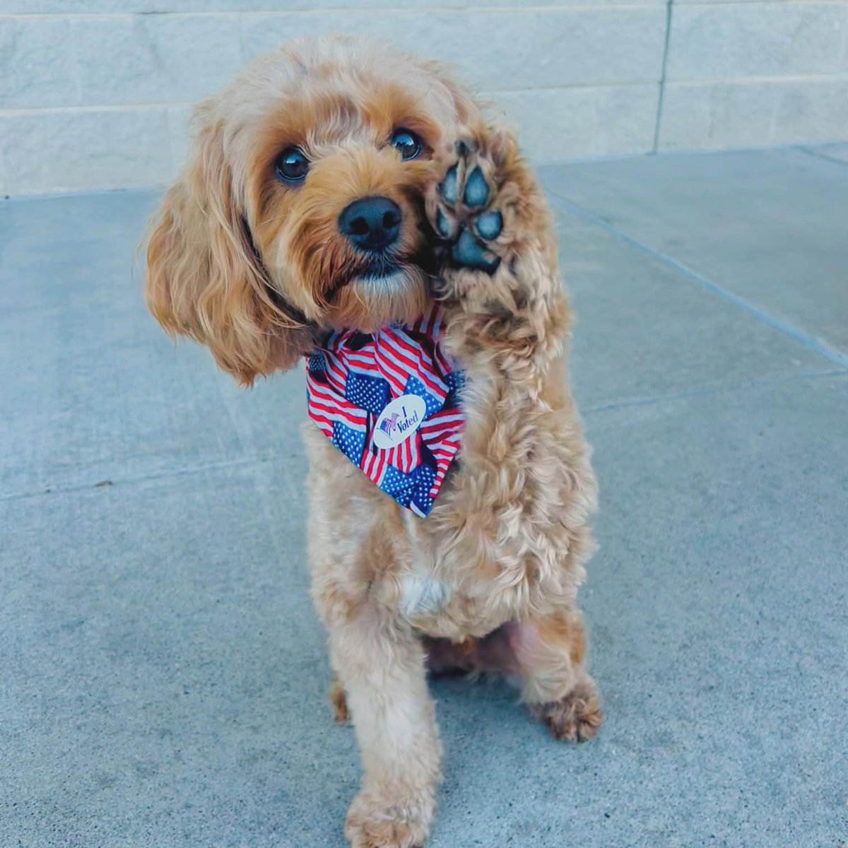 Follow us for southern Denton County election results.

crosstimbersgazette.com/tag/decision-2…

George <a href="/HarvestTexas/">Harvest by Hillwood</a>