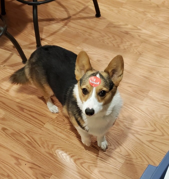 Mark Bernard tweet media