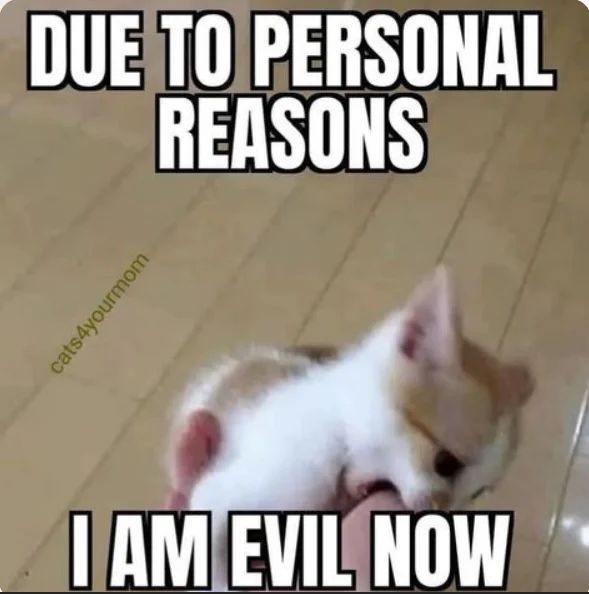 WholesomeMeme's tweet photo. https://t.co/1PGeUmxHp3