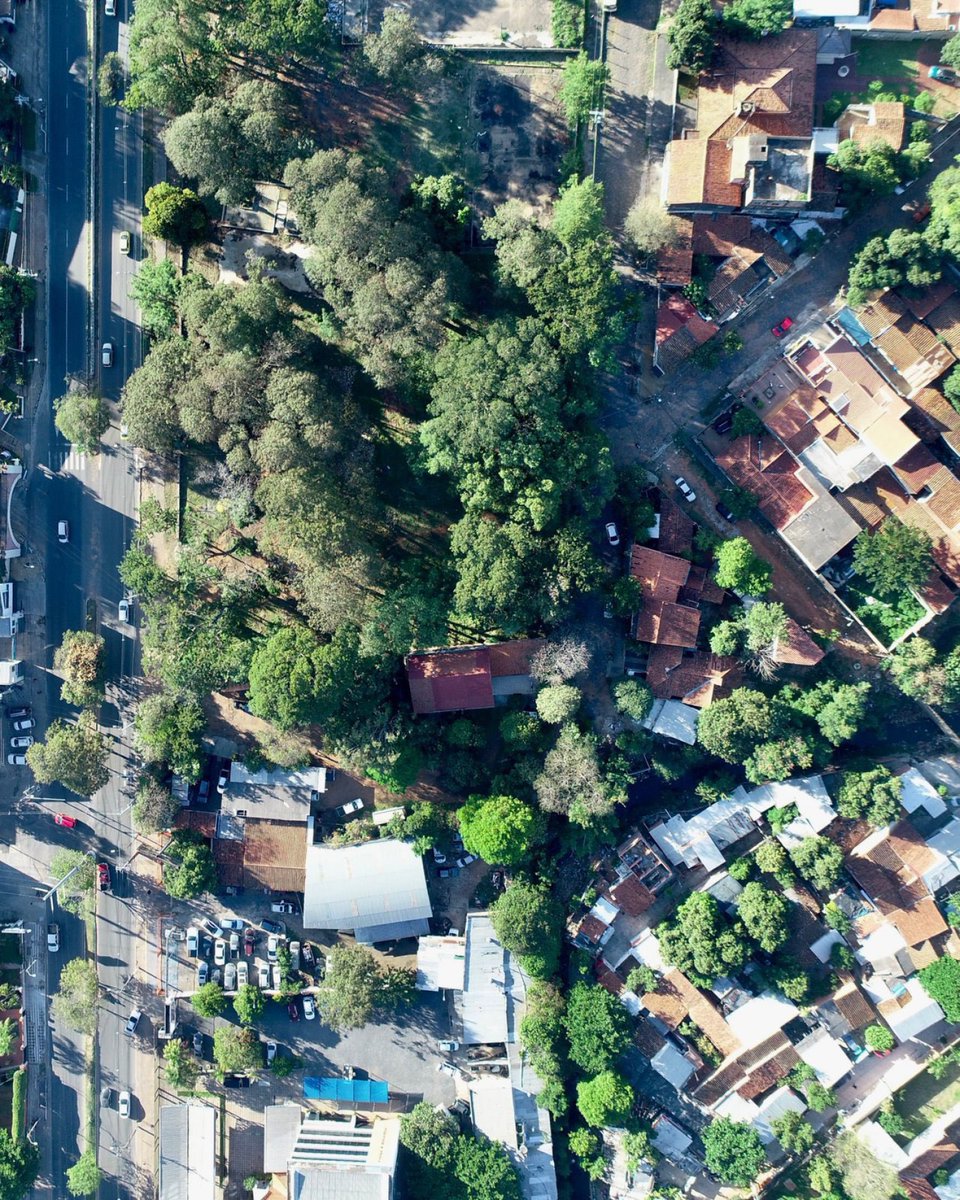 Este espacio verde era clave para el arroyo Ferreira, que drena aguas de varias zonas de Asunción y ayudaba a mitigar inundaciones al funcionar como una “esponja natural”. Vecinos de @sanviviverde advierten que esto podría agravar los raudales en épocas de lluvia.
