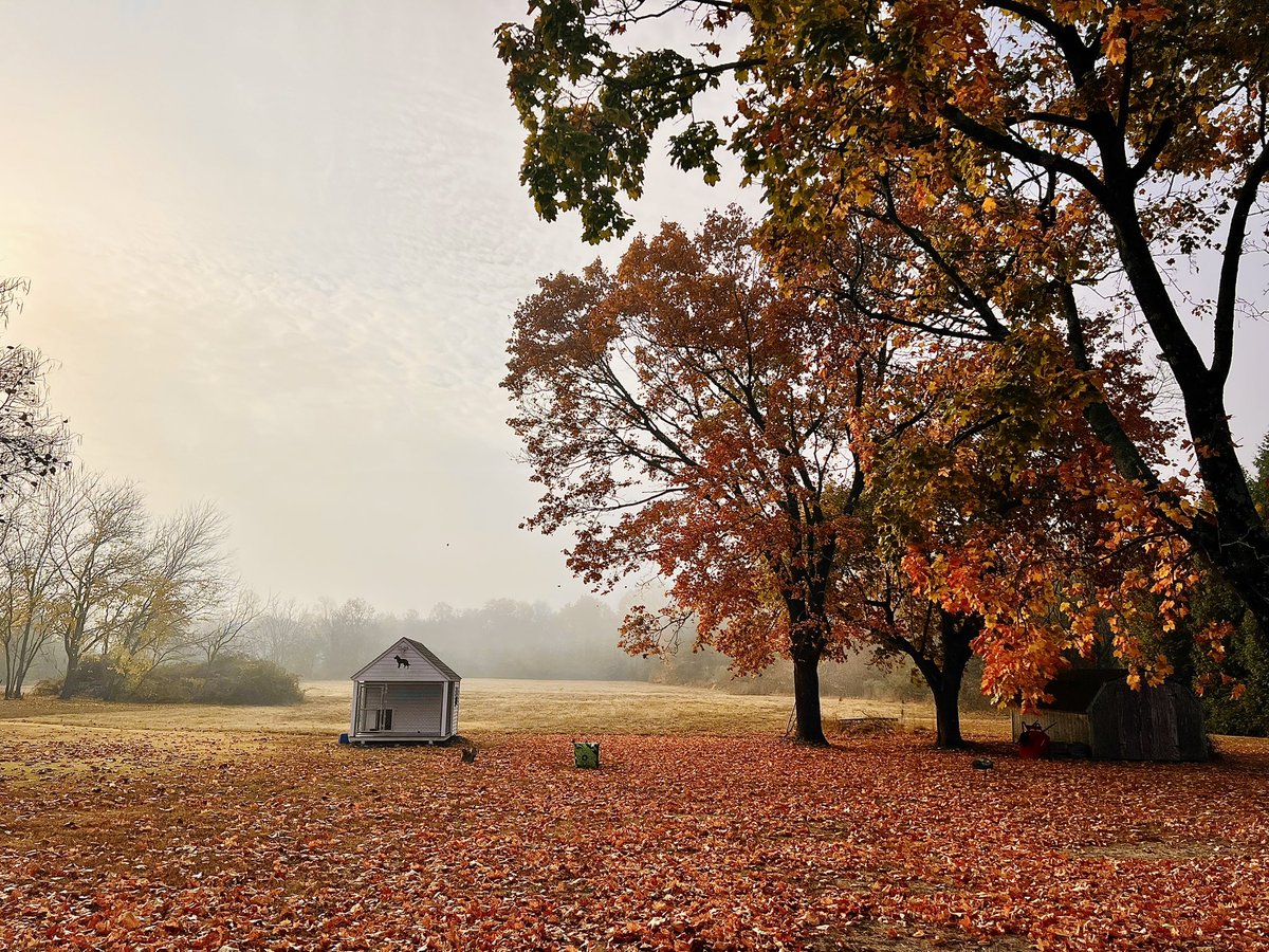 jas △⃒⃘ tweet media