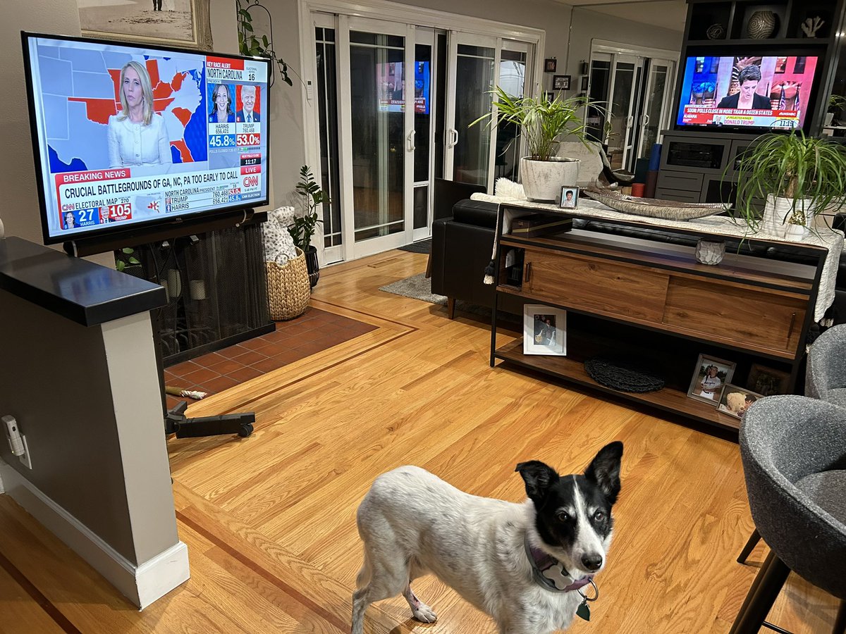 Dan Pavlik tweet media