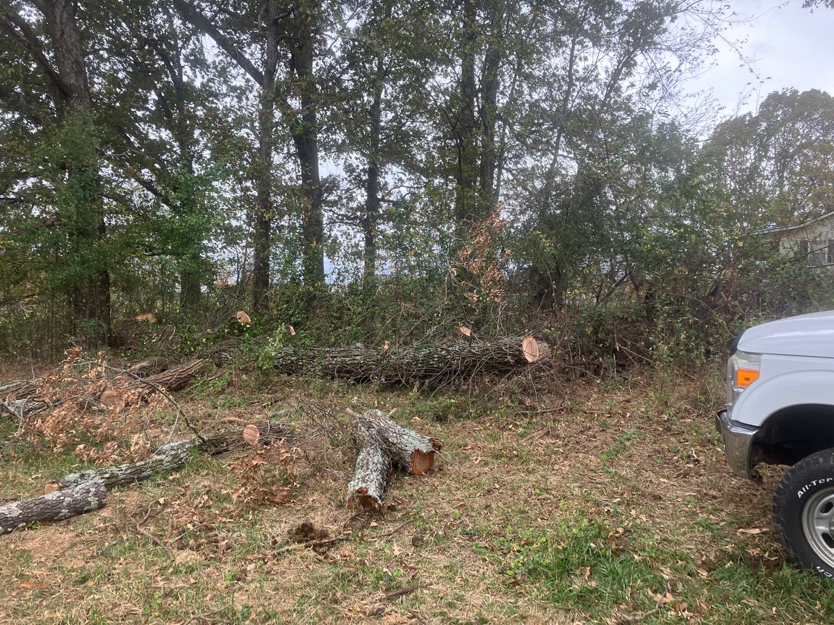 Worked down an old oak that had blown over in a friend’s pasture today. Disaster Relief is sometimes done right here at home. 
No horses were hurt in making this picture