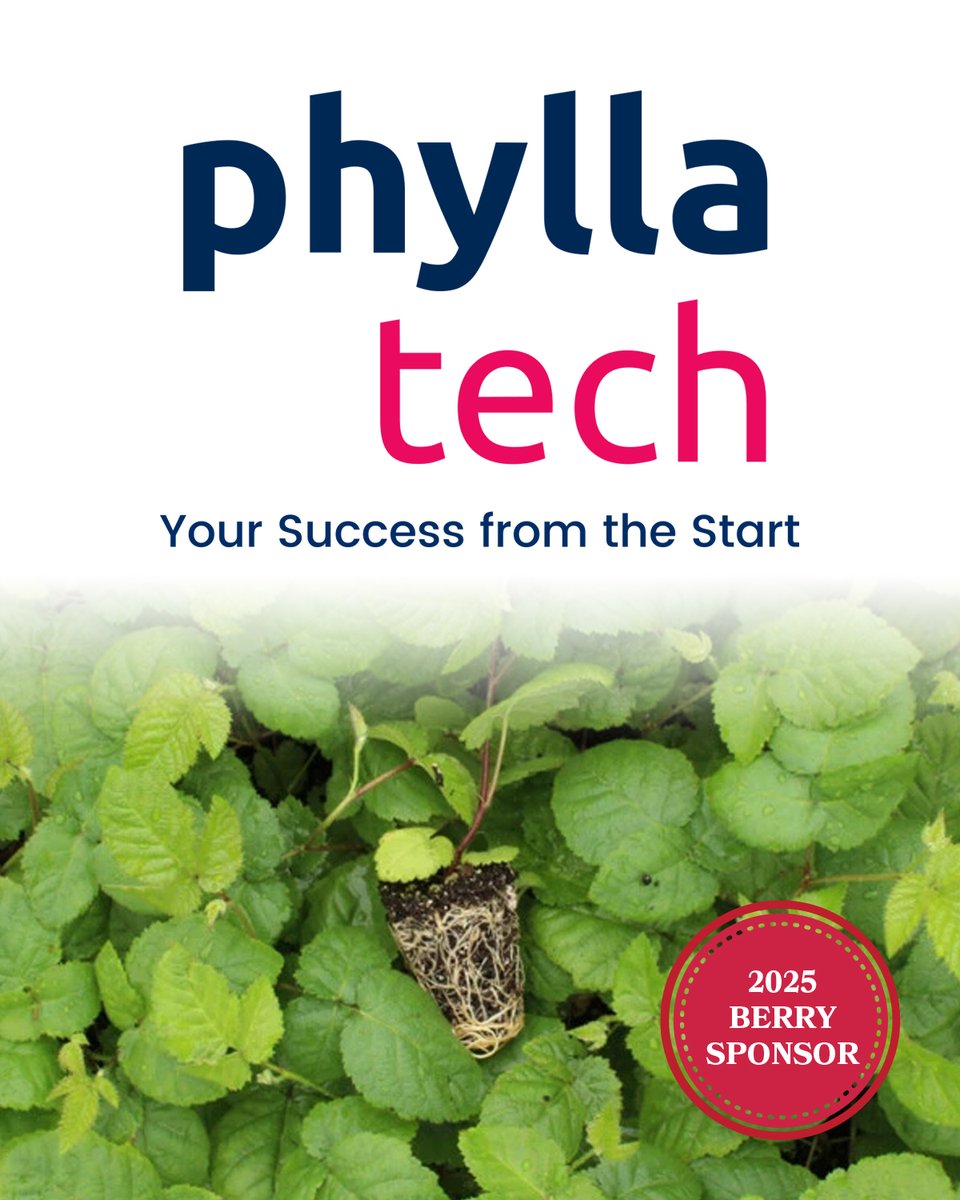 We would like to thank PhyllaTech for supporting our 2025 Conference as a Berry sponsor! PhyllaTech is a tissue culture propagation company based in Farmville, North Carolina. 😎

Learn more: phyllatech.com

#NARBA #berryplants #berrygrowers #berryfarm #blackberry