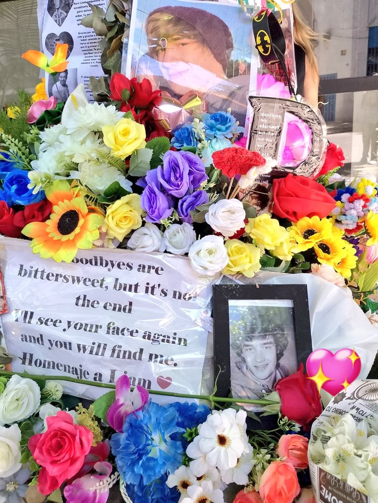 ArgentinaLiamP's tweet photo. La rosa que dejó Geoff hoy en el santuario en Palermo 🥺🌹 https://t.co/rvlKn9WUga