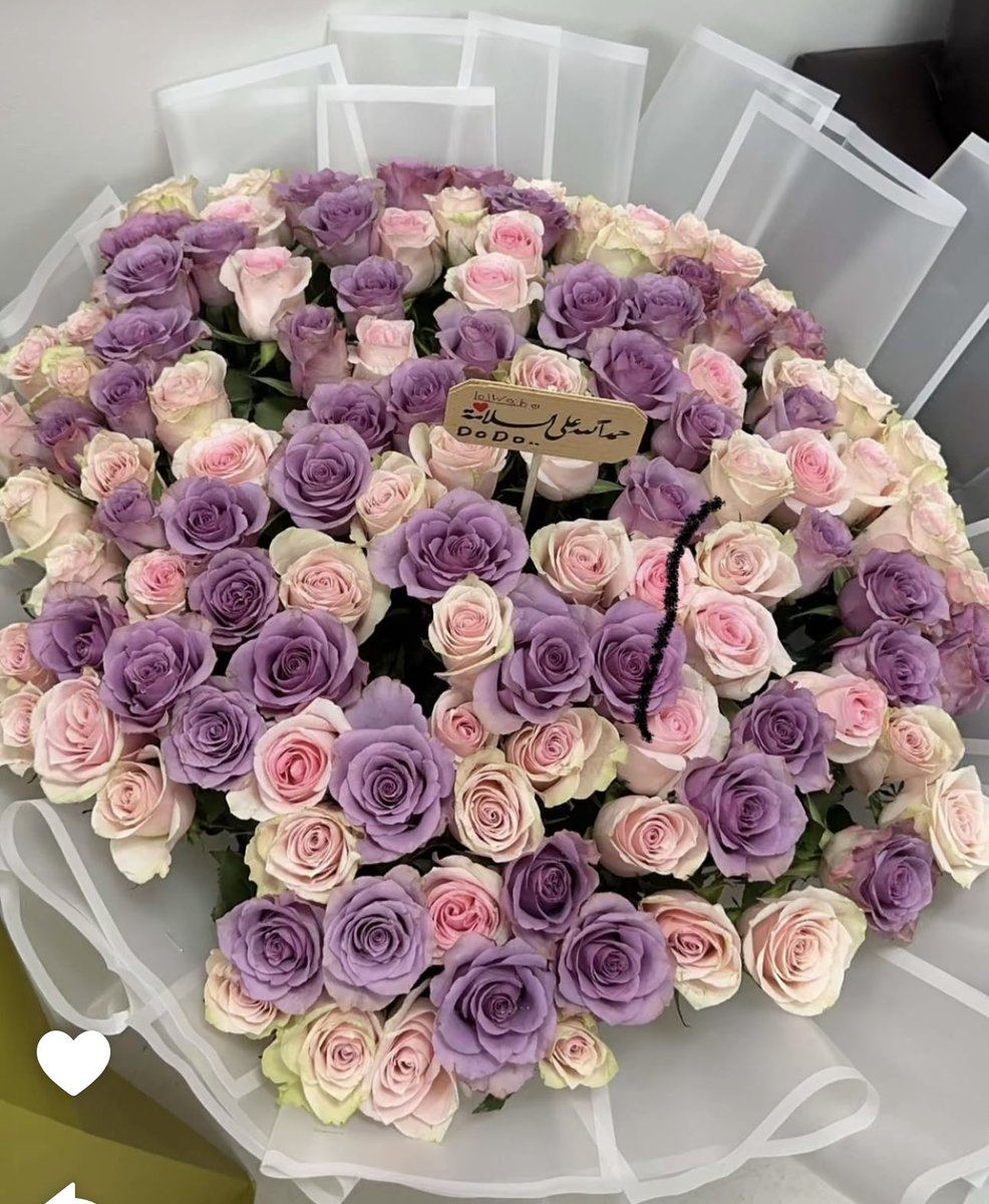 صباح الخيرات💚