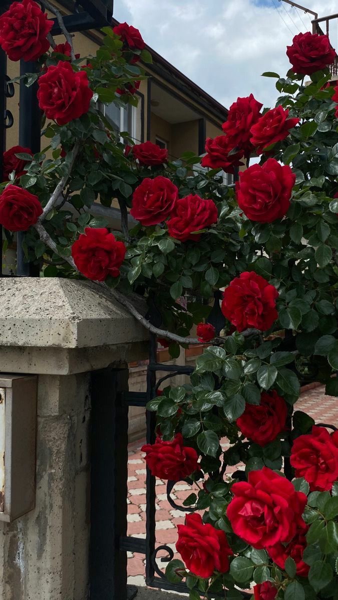 تم الاستلام 💗

اللهم أسعدهم سعادةً أبدية وارفع قدرهم وحقق احلامهم وصُب عليهم من الخير صباً صبا 🤲🏼✨
<a href="/T200990/">TOTO</a>