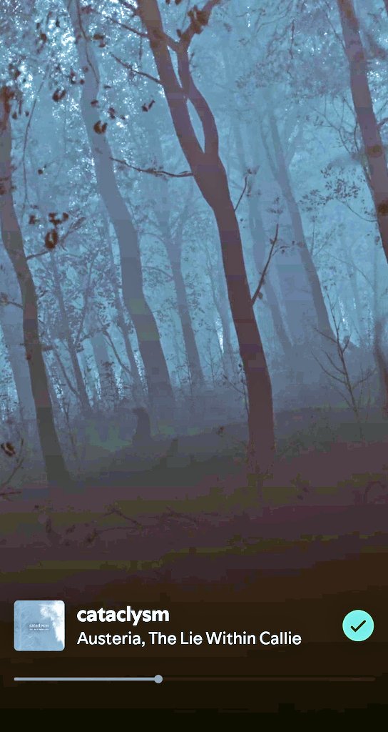 moment of relaxation with songs of <a href="/austeriamusic/">AUSTERIA</a>