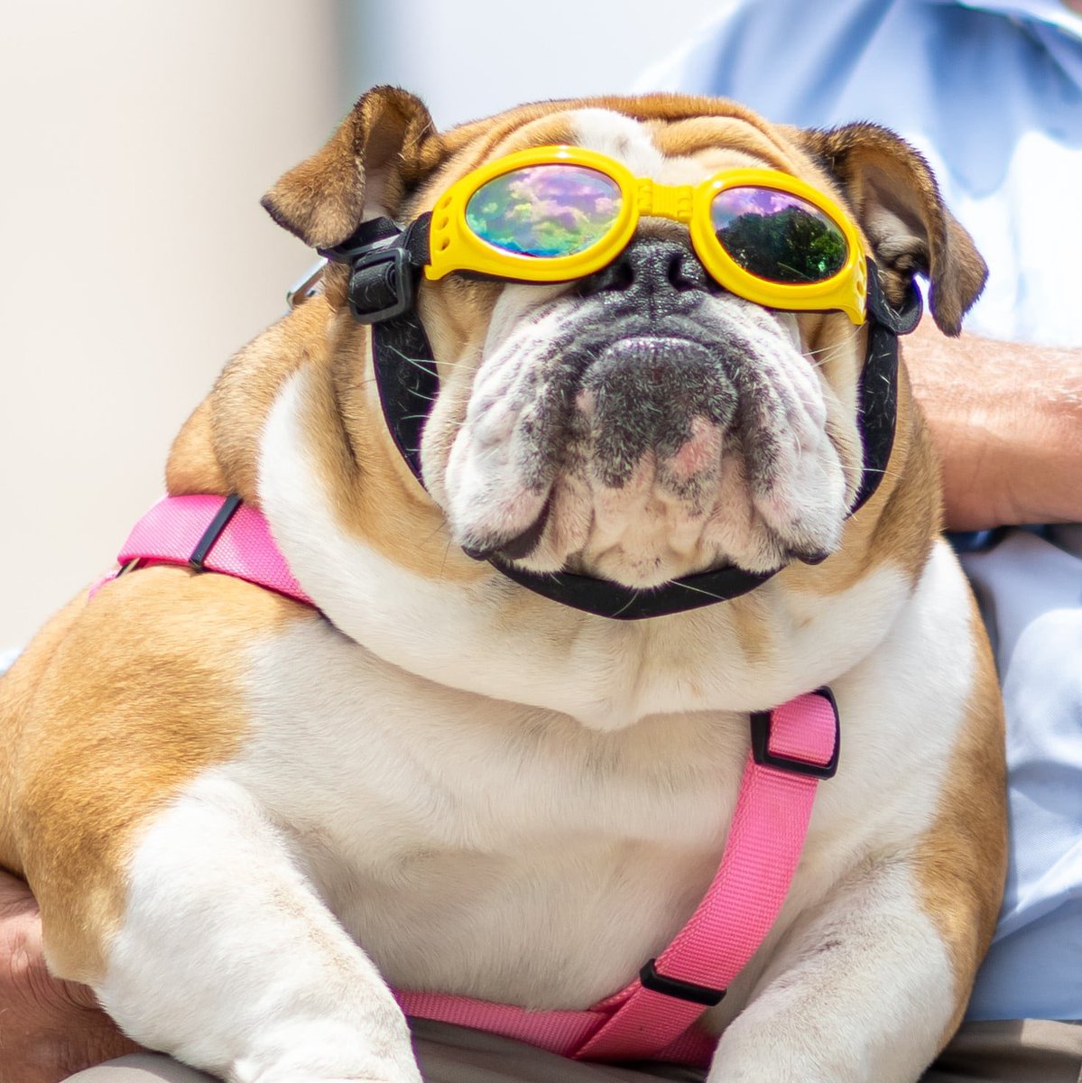 Ethan Bock tweet media