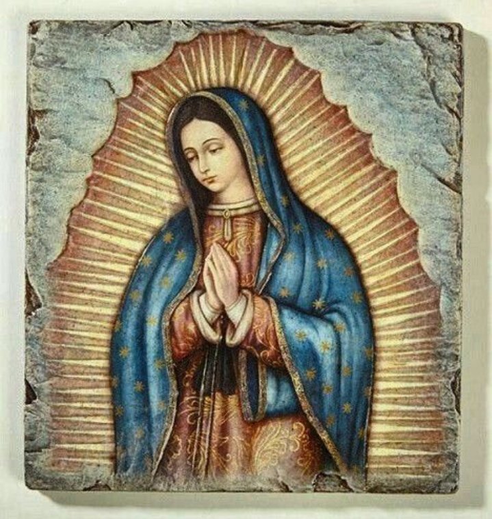 DANTE_eloficial's tweet photo. ✝️ Dios te salve, María, 
llena eres de gracia;
el Señor es contigo.
Bendita Tú eres 
entre todas las mujeres,
y bendito es el fruto de tu vientre, Jesús. 

Santa María, Madre de Dios,
ruega por nosotros, pecadores,
ahora y en la hora de nuestra muerte. Amén 🙏 https://t.co/rMi27PD8LE