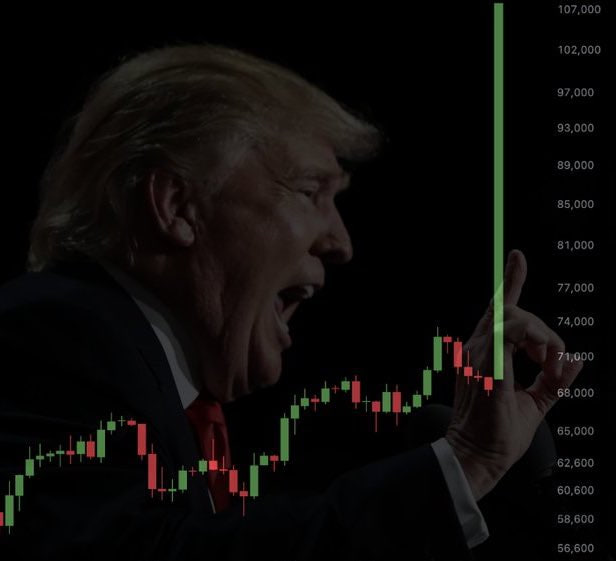 gopherLuo's tweet image. 起飞，恭喜特朗普先生