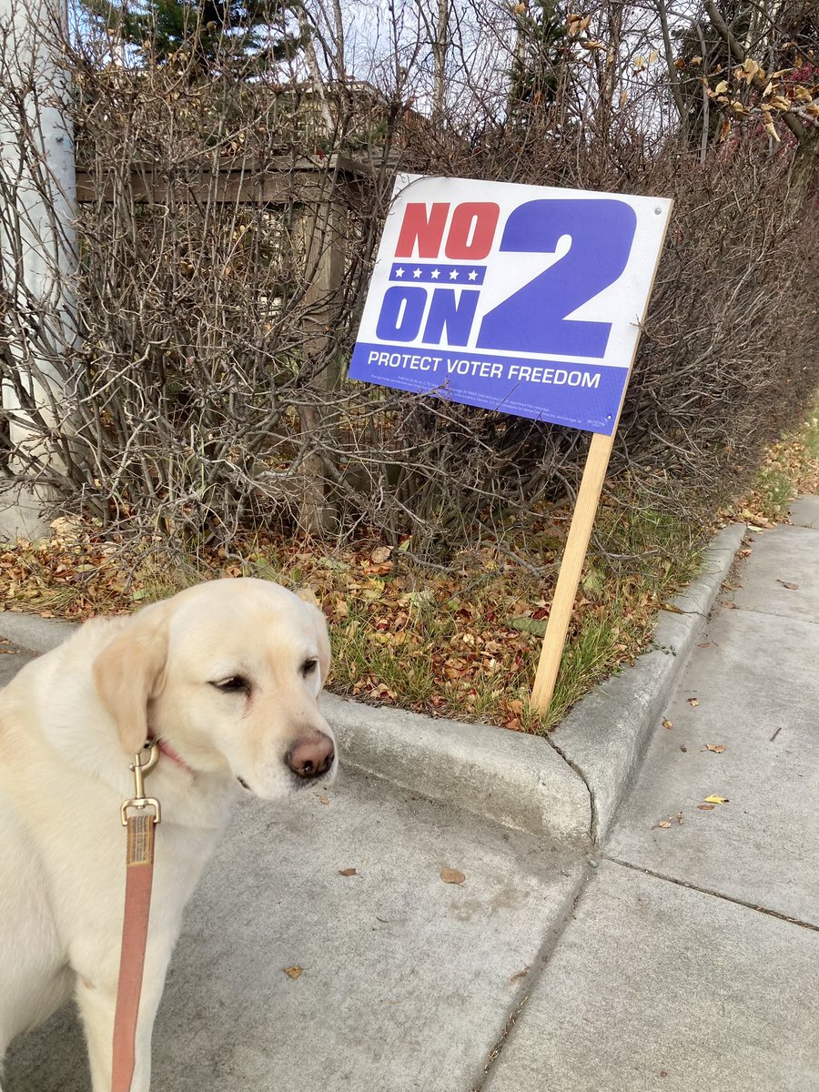 2.5 hours until the polls close, if you haven’t voted yet now’s the time!

And if you’re doomscrolling: some very good Alaskan pups to cleanse your timeline.