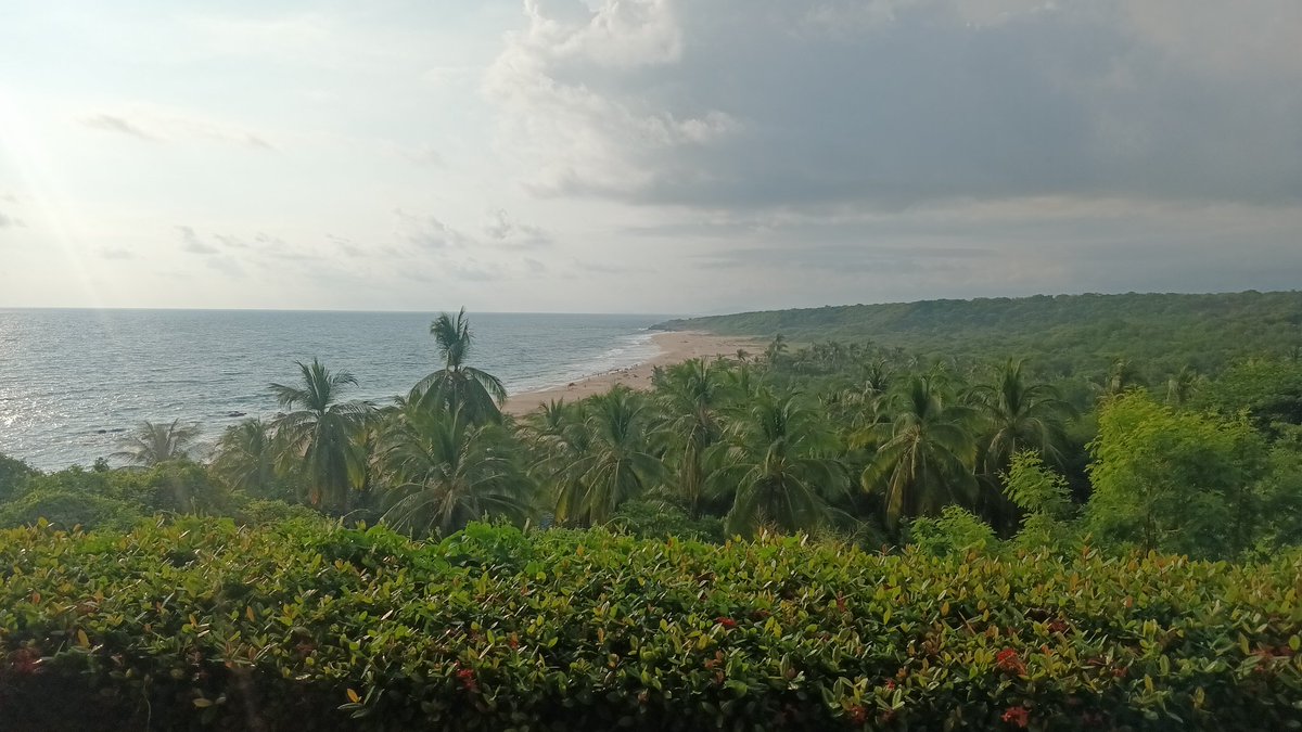 orbalest's tweet photo. First day of beach side resort. The place is awesome first day is for rest tomorrow we explore. I forgot to take a picture of the pool. #mexico #oaxaca #puertoescondido #mezcal #streamer #axolotl #twitch #vacation #tacos https://t.co/TSoyYvnLBU