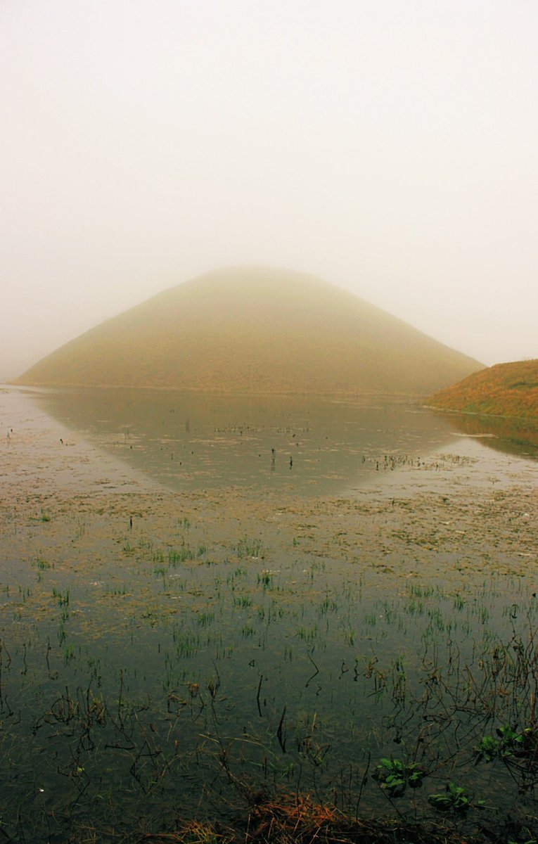 Jim Leary tweet media