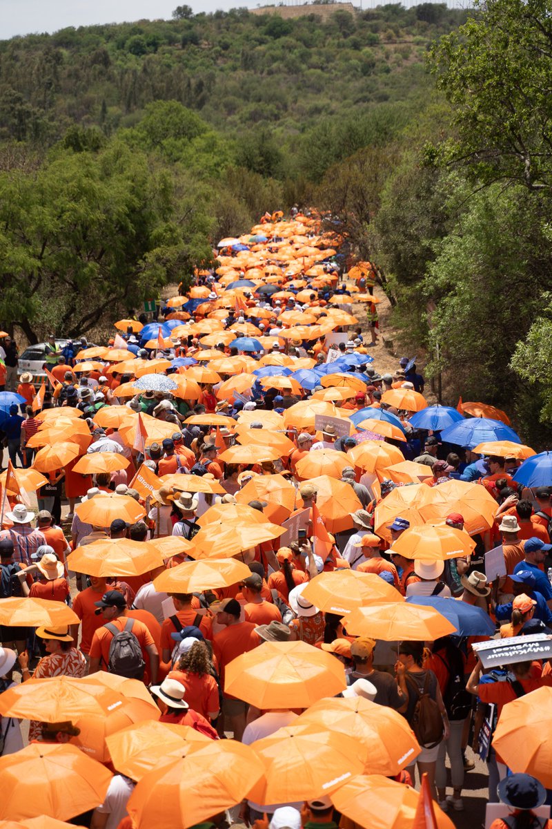 ConCaracal's tweet photo. Yesterday's massive protest against the Bela Act is causing intense chest pains among the anti-Afrikaners because it proved that:

1. How proud Afrikaners are of their heritage and language.

2. This self-respect extends to the next generation.

3. Afrikaners are not going anywhere.

🔶️ 🔶️ 🔶️