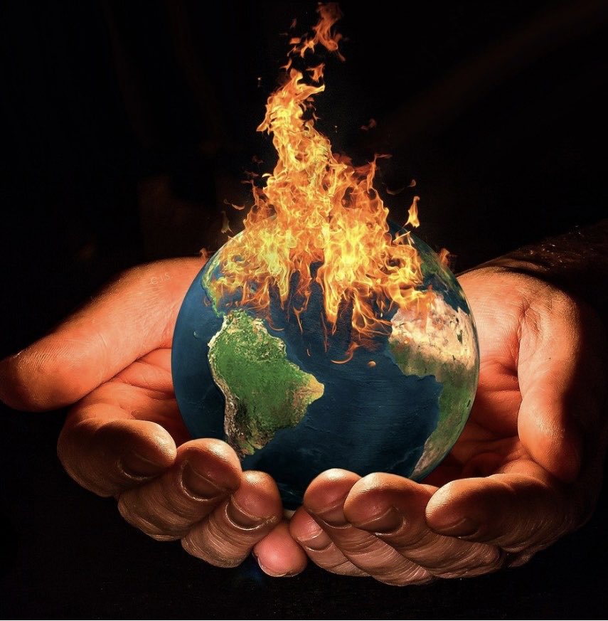 Hannah H. tweet media