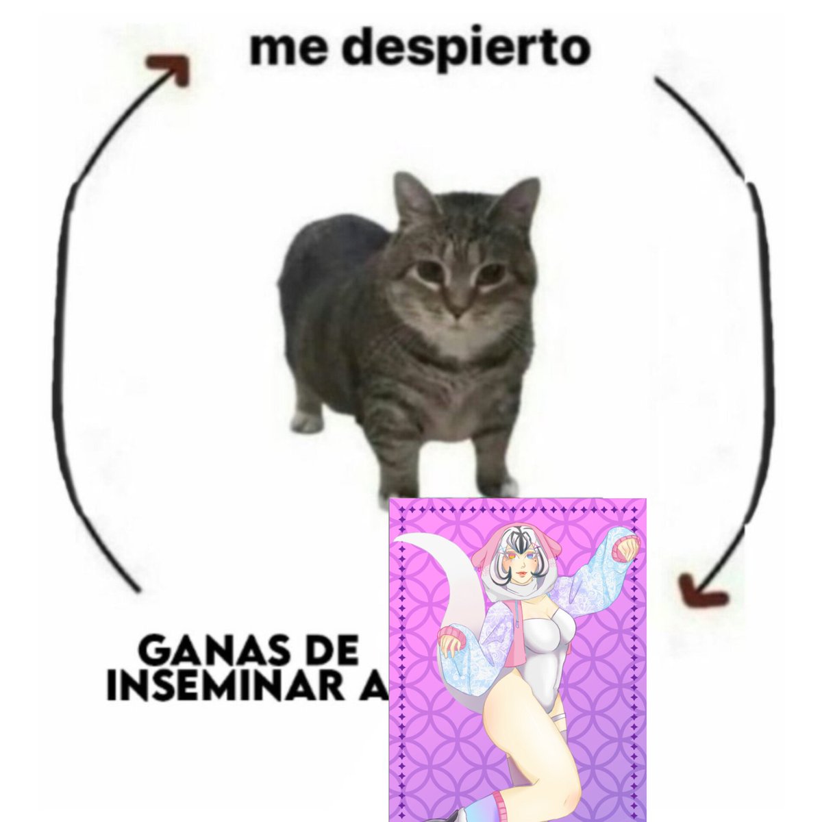 ZeevWhite's tweet photo. Solo diré, quiero

@Another_Carton
#AnotherMeme #VtubetMeme https://t.co/KRVh0SjTpl