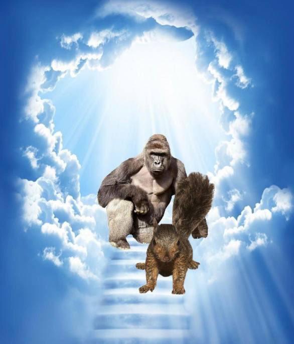 This one’s for you.