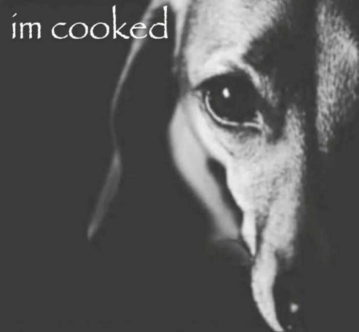 yikesspaghetti's tweet photo. i'm cooked, we're cooked 😔 https://t.co/XOWIlZu06V