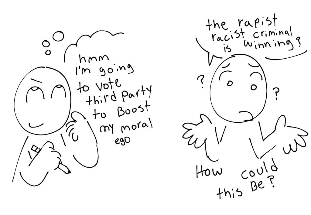 Generally...what was Third party voters thought process