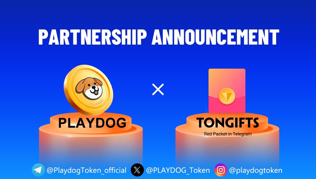 PLAYDOG tweet media