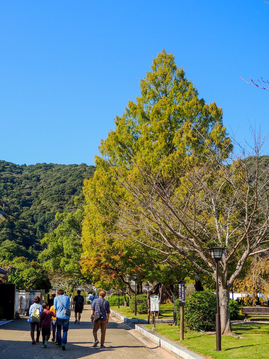 1028_hnd's tweet image. お疲れ様でした

#Nikon #Coolpix #P310 
#オールドコンデジ