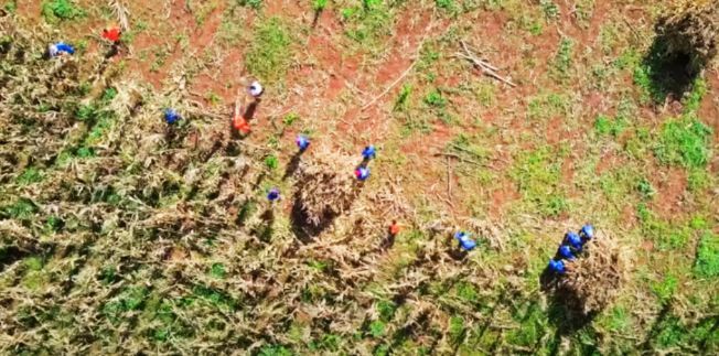 Hemos renovado y ampliado el contrato para el #DesarrolloAgrícola de Angola #PDAC
🌱 #AgriculturaSostenible
🌾 #AgriculturaComercial

➕ buff.ly/3AvFXF1