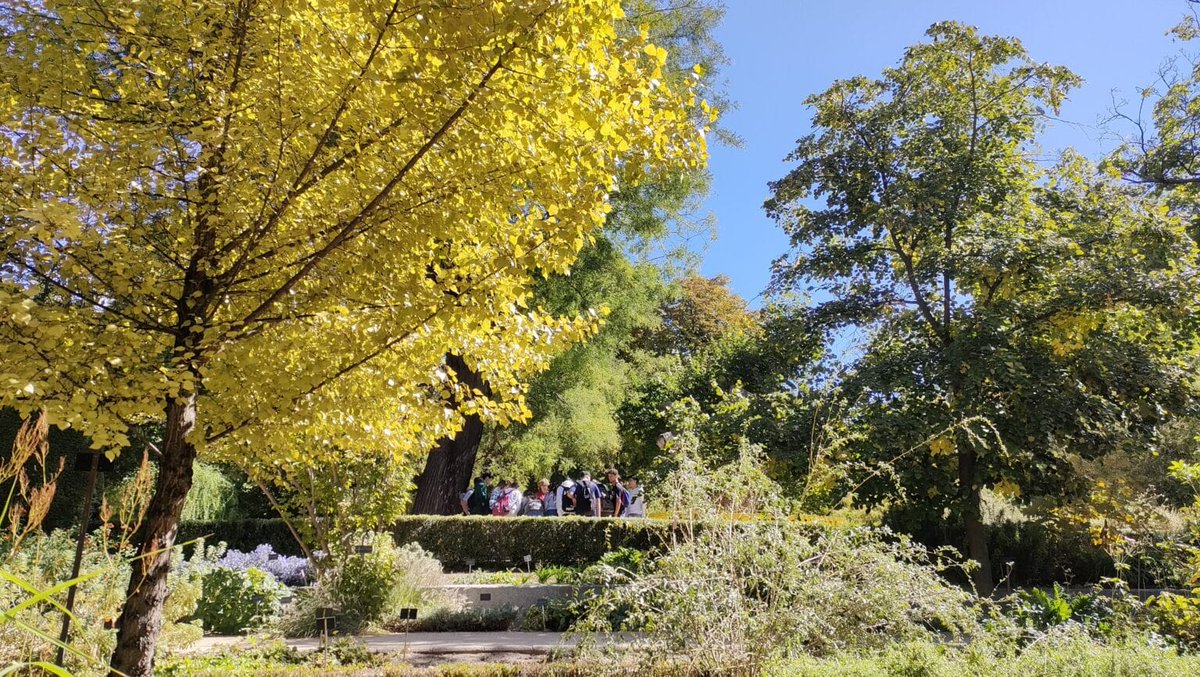 REAL JARDÍN BOTÁNICO tweet media