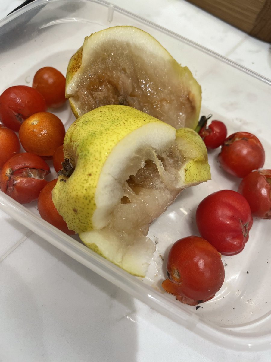 Robyn Llewellyn tweet media