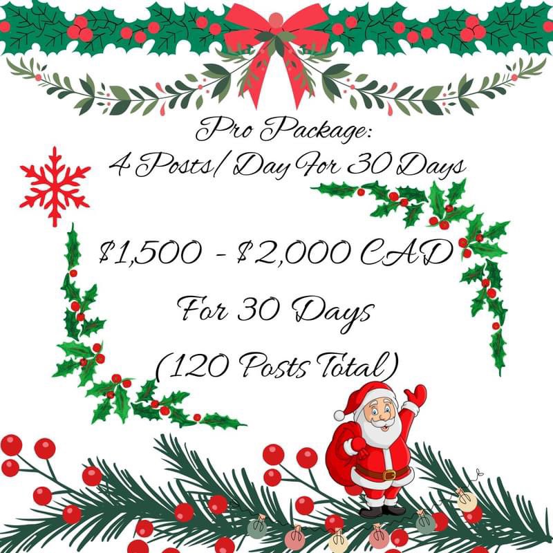 HMS_CANADA's tweet photo. Have holiday sales to promote? 

Harvey Media Solutions can help! 

This season, from Black Friday to Boxing Day, keep your customers in the loop with a tailored content calendar for your business. We’ll set up automatic posts across your social media.  #kamloops https://t.co/8RtGNygzjb